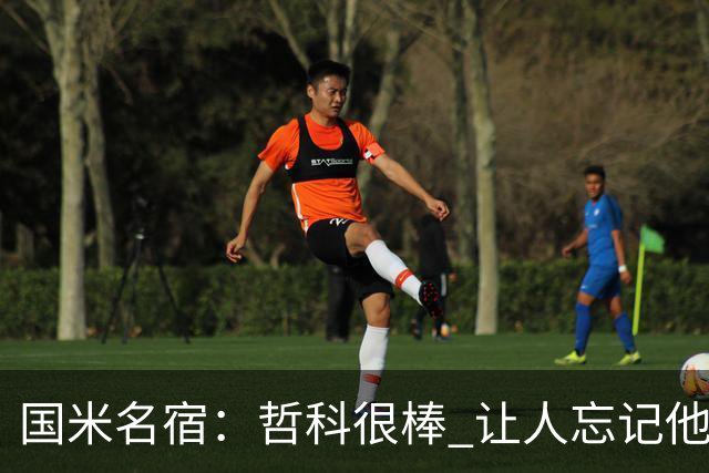国米名宿：哲科很棒 让人忘记他已经这么大年纪