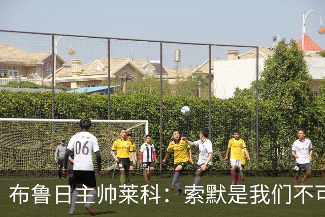 布鲁日主帅莱科：索默是我们不可或缺的引援